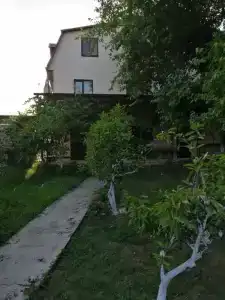 Ангелина - 2