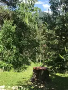Белый волк - 45