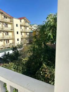 Белые паруса - 20