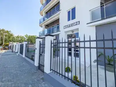 Метеора - 1