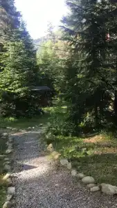 Белый волк - 127