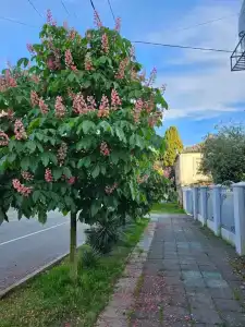 Атлас - 18