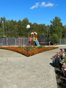 Лесная Симфония - 14