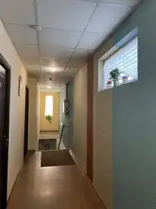 Элвика - 0