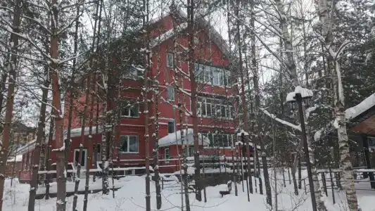 Сосновая аллея - 226