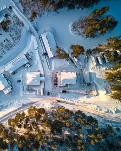Белые мосты - 4