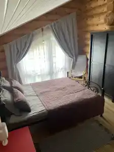 Рыжий кот - 47