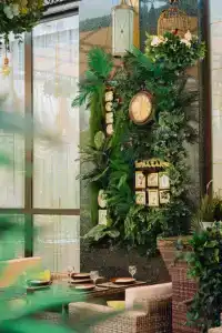 Green House Detox & SPA - 22