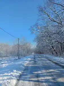 Гостевой дом у Эльвиры - 5