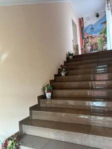 Домашний Очаг - 3