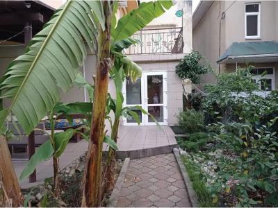 Прибрежный - 29