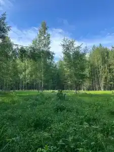 Кривец Хаус - 67