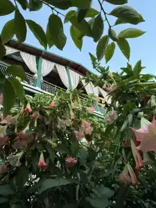 Октябрьский - 6