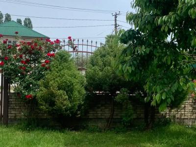 Кистрик - 23