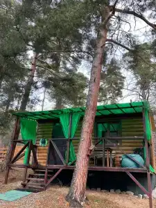 Тайга House - 123