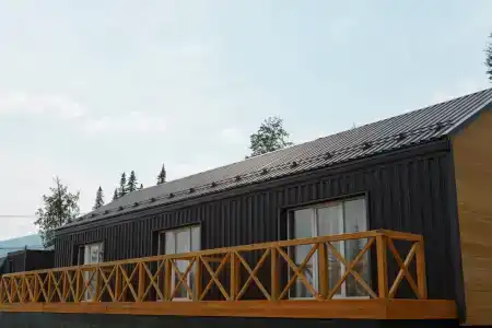 Еловый лис - 30