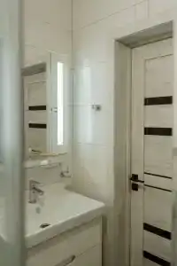 Еловый лис - 31