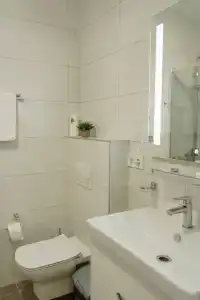 Еловый лис - 32