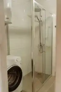 Еловый лис - 33