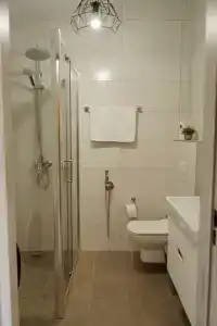 Еловый лис - 34