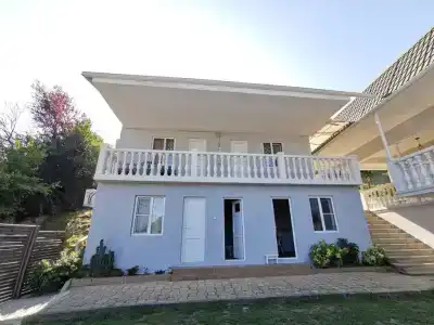 Tengo - 1