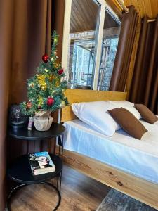 Архызская сказка - 58