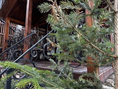 Архызская сказка - 68