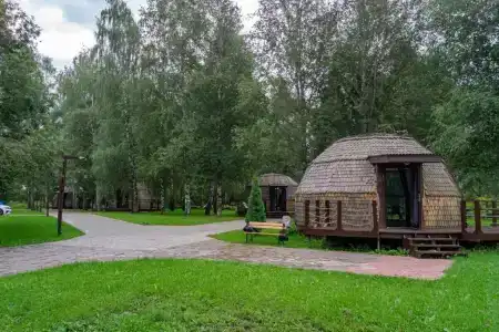 Гнездовье - 6