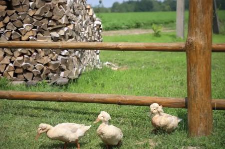 Экохуторок Сергеевка - 15