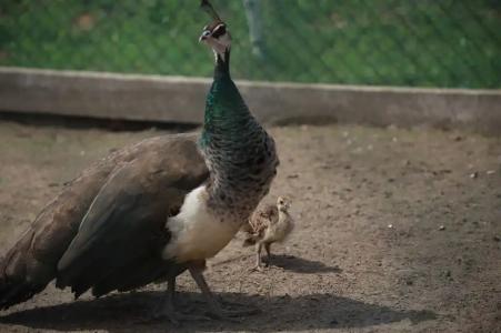 Экохуторок Сергеевка - 16