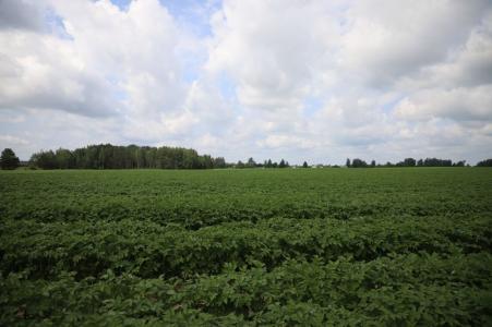 Экохуторок Сергеевка - 21