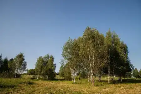 ТехноХутор - 30