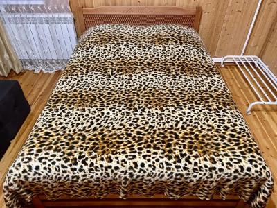 Кругозор - 42