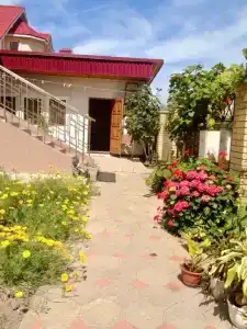 Адлер Олимпик - 3