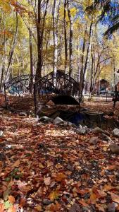 Архызская сказка - 89