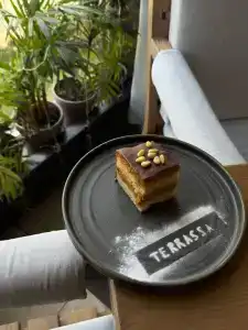 Terrassa - 9
