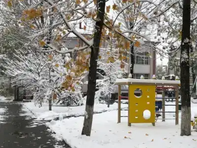Пансионат Дача генерала Николаева - 4