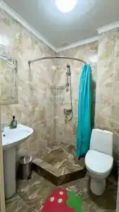Альтаир - 14