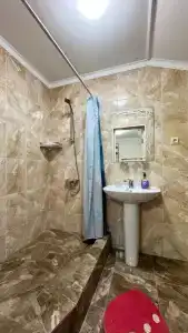 Альтаир - 29