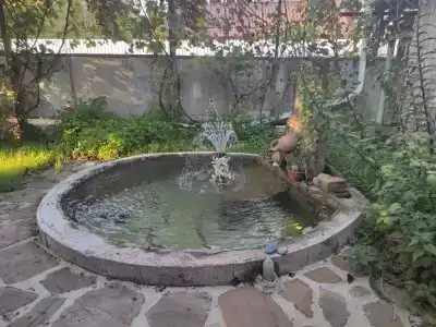 Арзуманян - 1