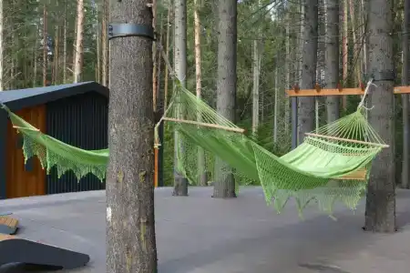 Заповедный лес - 6