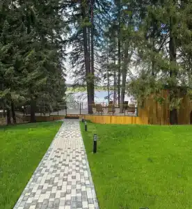 Заповедный лес - 24