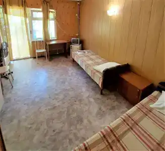 Пальма - 10