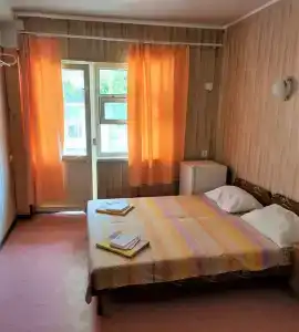 Пальма - 11