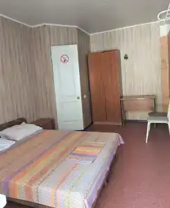 Пальма - 12