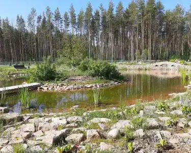 Хуторок - 5