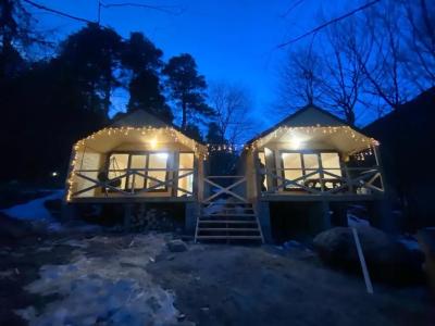 Dacha - 45