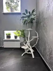 Зодиак - 1