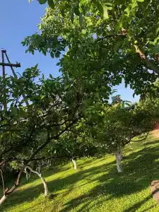 Добро пожаловать! - 2