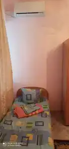 Сосновый бор - 1
